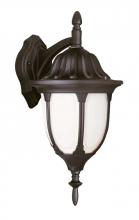  4048 RT - Hamilton 13" Wall Lantern